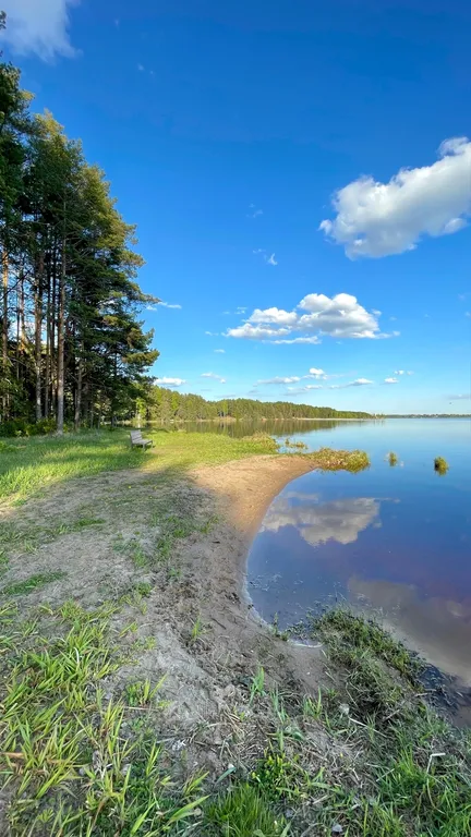 Коттедж Домик в лесу у озера для семейного отдыха — Турбаза Чайка