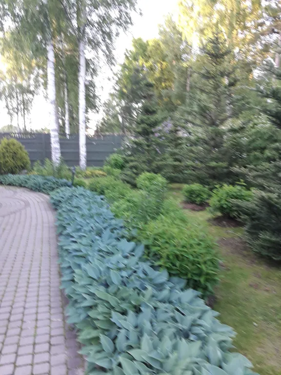 Загородный дом со своим садом