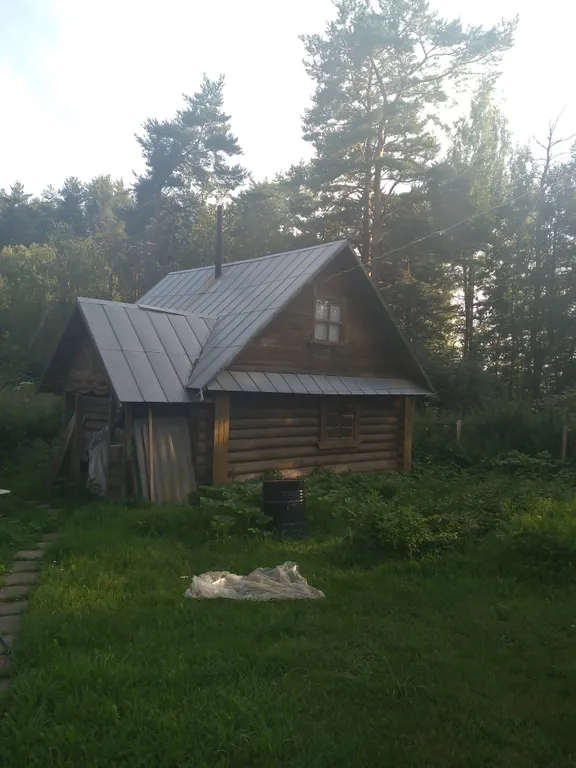 Домик в деревне на Волге