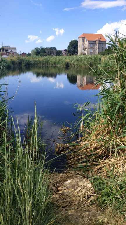 Дом на берегу Черного моря