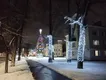Зимний Петергоф прекрасен и погружает в сказочную атмосферу