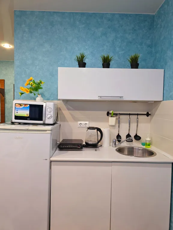 Уютные апартаменты