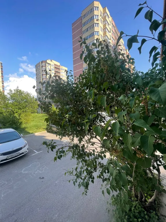 Квартира Квартира у моря — Анапа