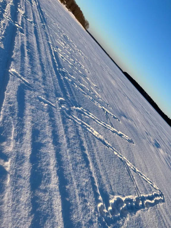 Домик на берегу реки Шексна