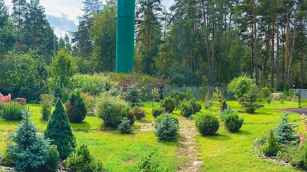 Большой дом в лесу