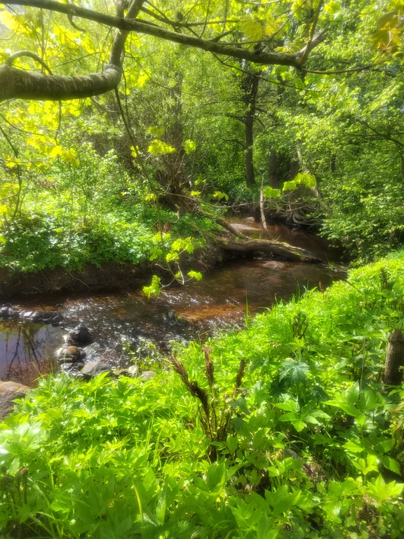 Усадьба седьмое небо банкетный зал до 16 человек с баней под полоцком
