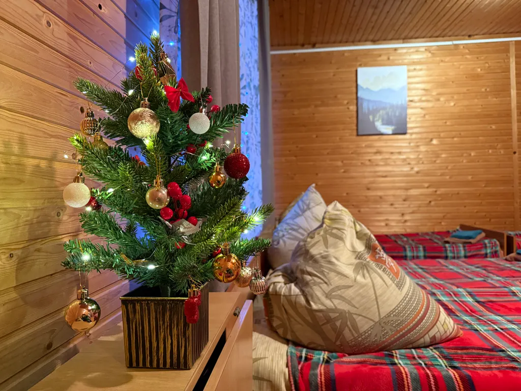 Квартира Жилая комната в деревянном домике четырёхместная — Апшеронск