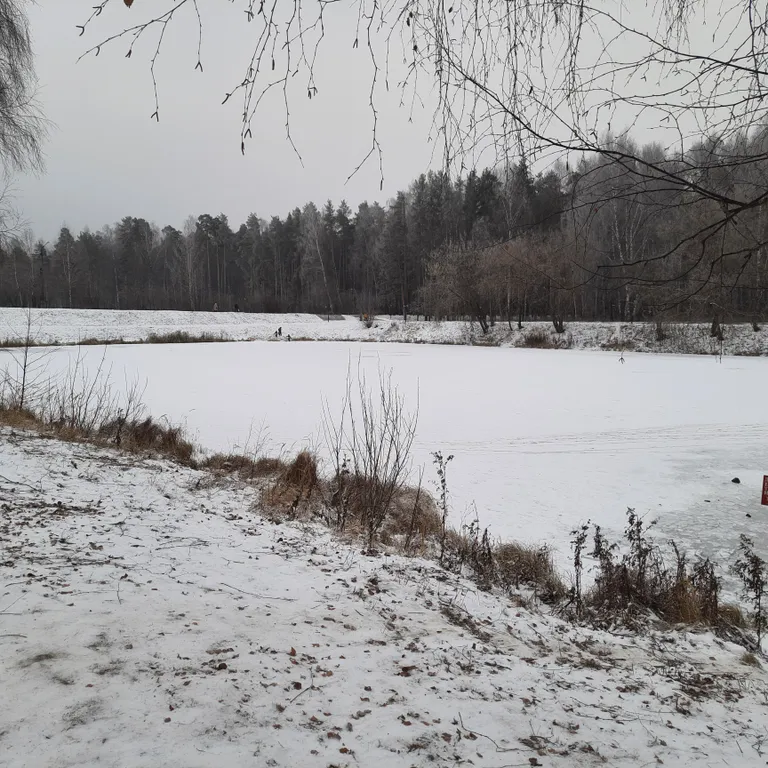Гости очень любят царство Берендея
