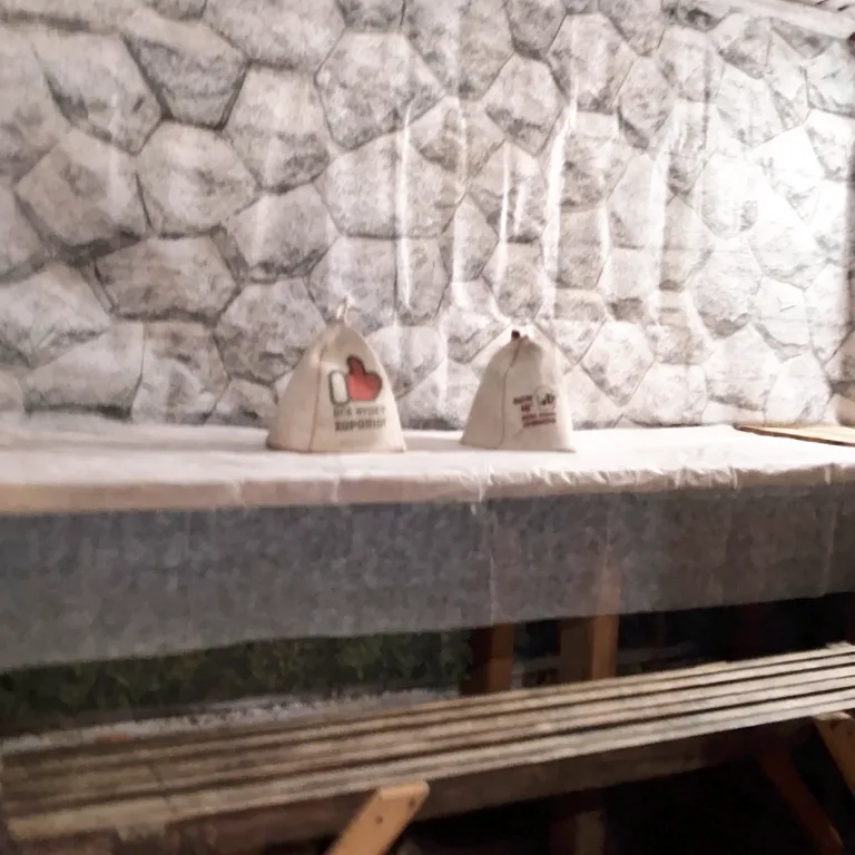 Уютный дом в таежном посёлке рядом с Телецким озером.