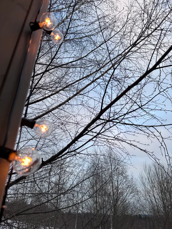 Дом в облаках у леса