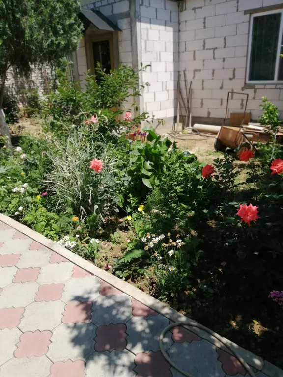 2-комнатный Дом