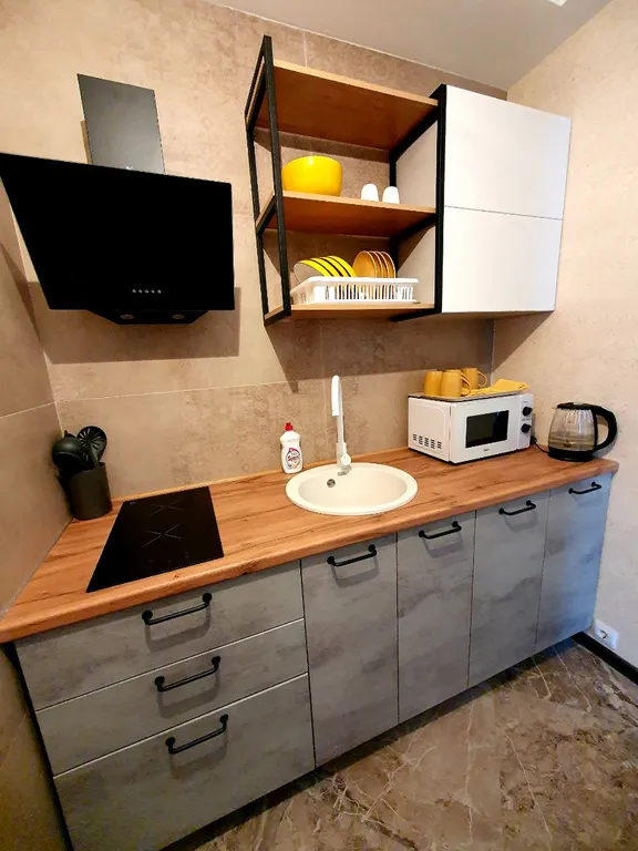 Квартира Уютная квартира с видом на водохранилище — Воронеж