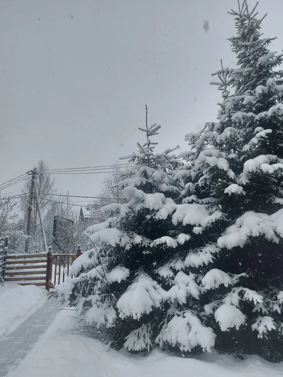 SkiLife уютный дом у горнолыжных курортов