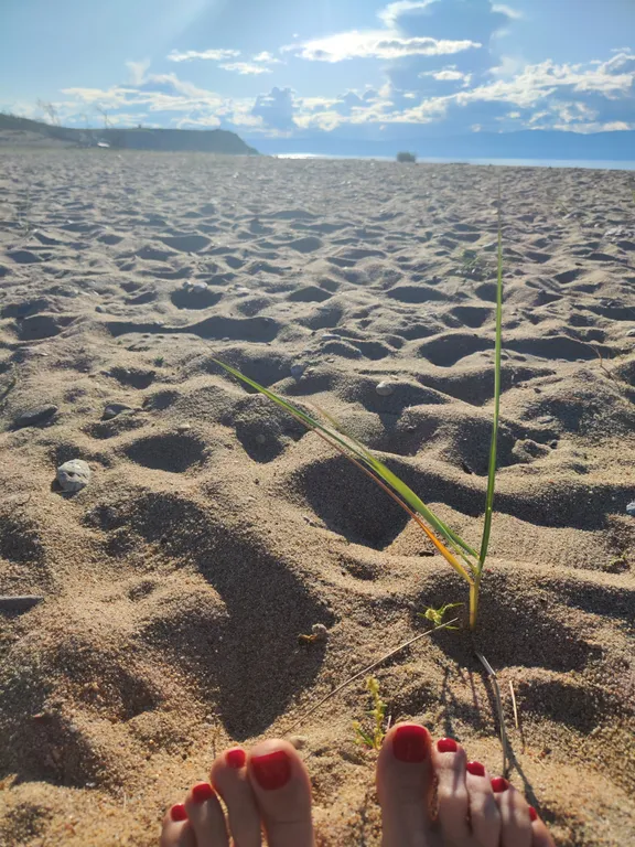 Номер в лиственичном 2х этажном доме с отдельным входом