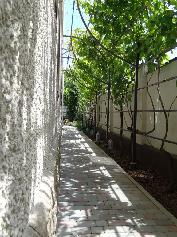 Квартира Трёхкомнатная квартира для большой компании в тихом центре Анапы — Анапа