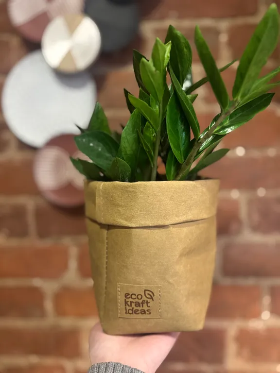 Квартира Квартира Раскольникова modern — Санкт-Петербург