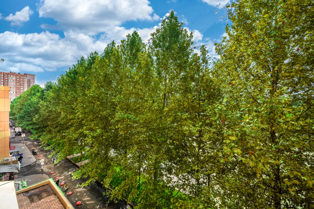 Квартира Квартира Парк и Стадион — Краснодар