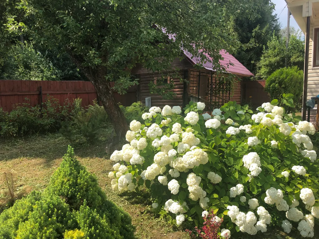 Уютный домик на берегу чудесного водохранилища