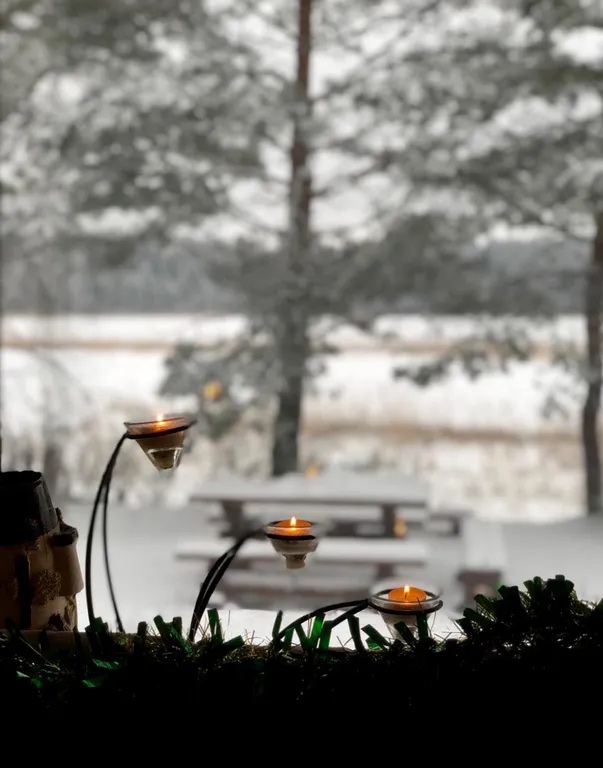 Шале с камином и 3 спальнями на берегу озера Селигер