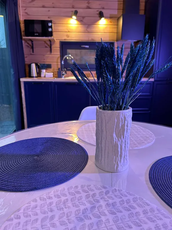 Новый дом seagull рядом с монрепо