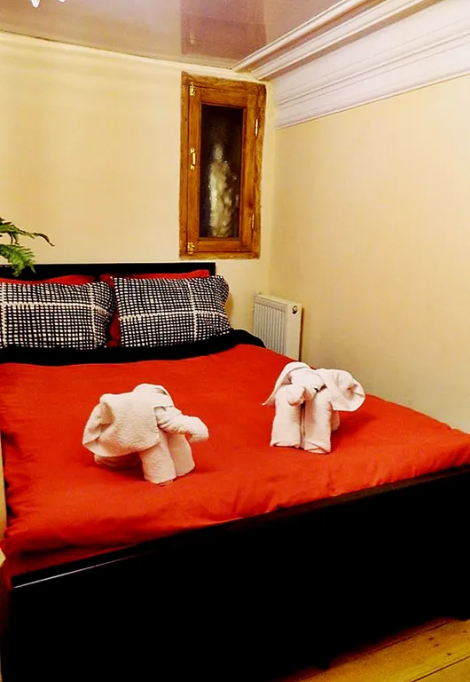 Двухуровневый апартамент с балконом в старом городе