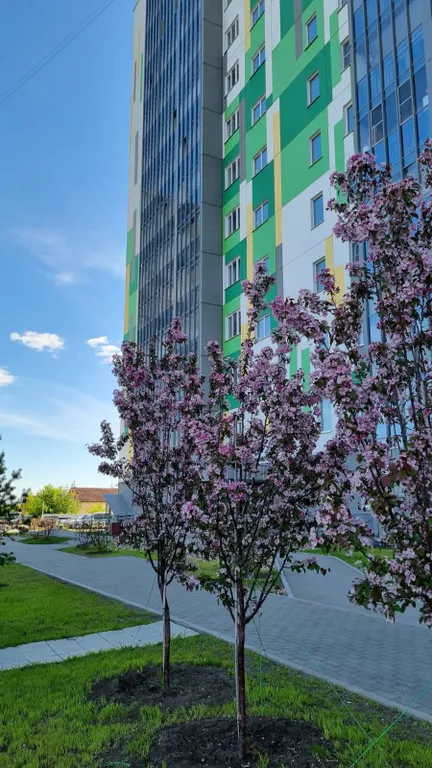 Квартира Уютная евро двушку около аэропорта Толмачево (им. Покрышкина)! — Обь