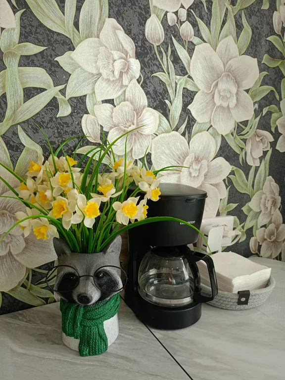 Уютная квартира с видом на северное сияние и на горы