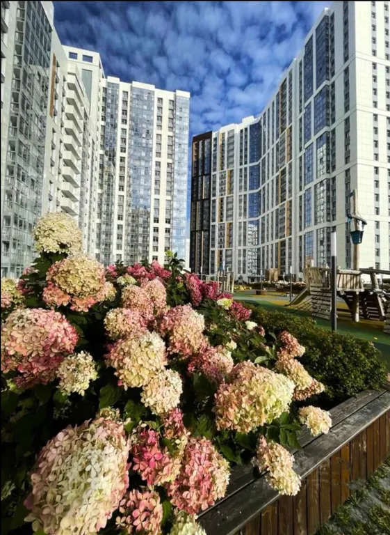 Уютная евродвухкомнатная квартира в центре