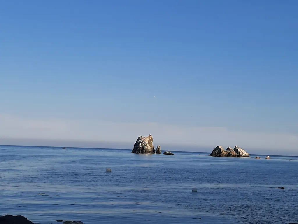 Апартаменты на самом берегу моря