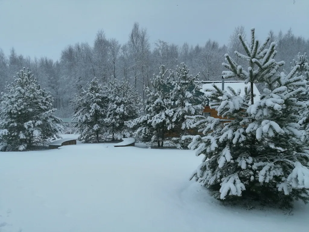 Дом на Селигере