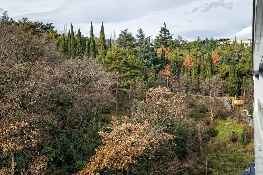 Апартамент с отдельной спальней и террасой вид на горы