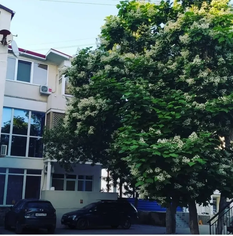 Апартаменты в 150 метрах от лучшего пляжа Звёздный берег