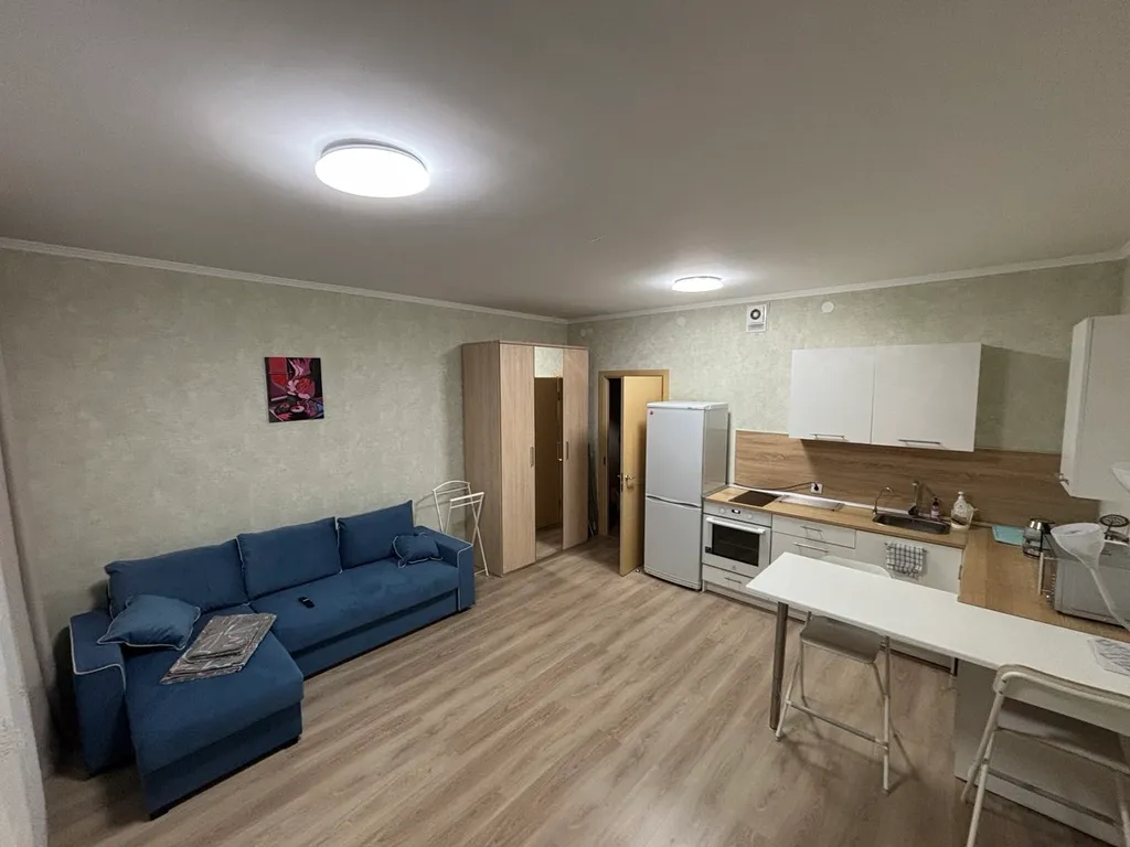 Квартира 1-комнатная Квартира — Янино-1