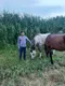 Шамиль