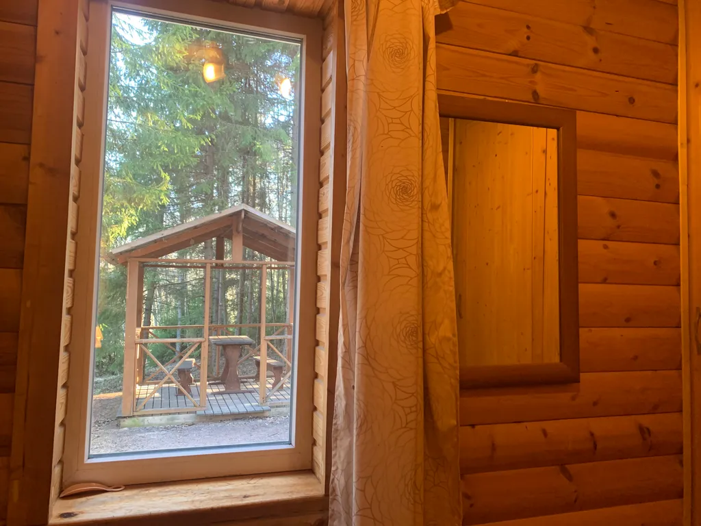 Дом-студия с сауной, камином и зоной барбекю на хуторе в Карелии