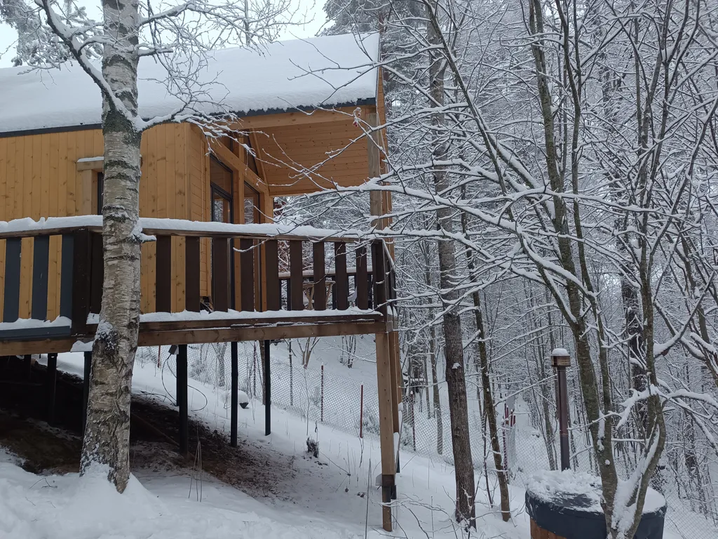 Коттедж Уютный дом в лесу — Орехово