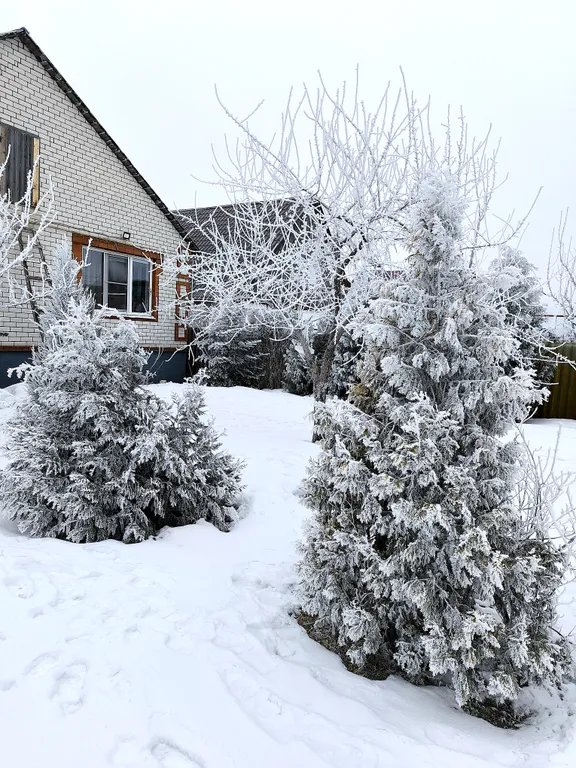 Чистый дом на большую компанию, хорошие матрасы