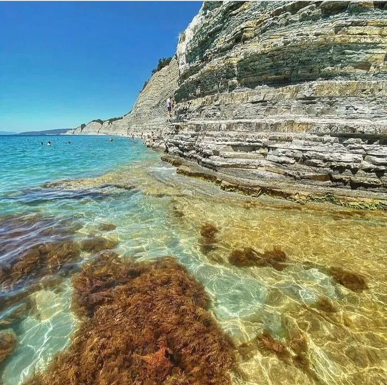 Дом в лесу с видом на море