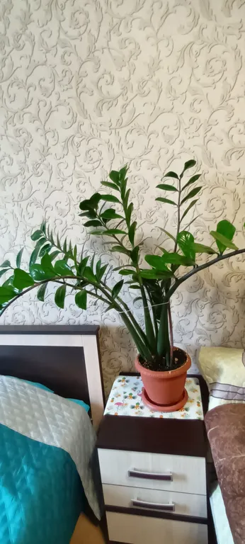 Квартира в новом монолитно-кирпичном доме