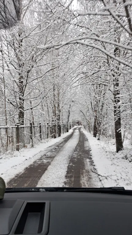 Коттедж Дом в лесу с баней и спортзалом — Горышкино