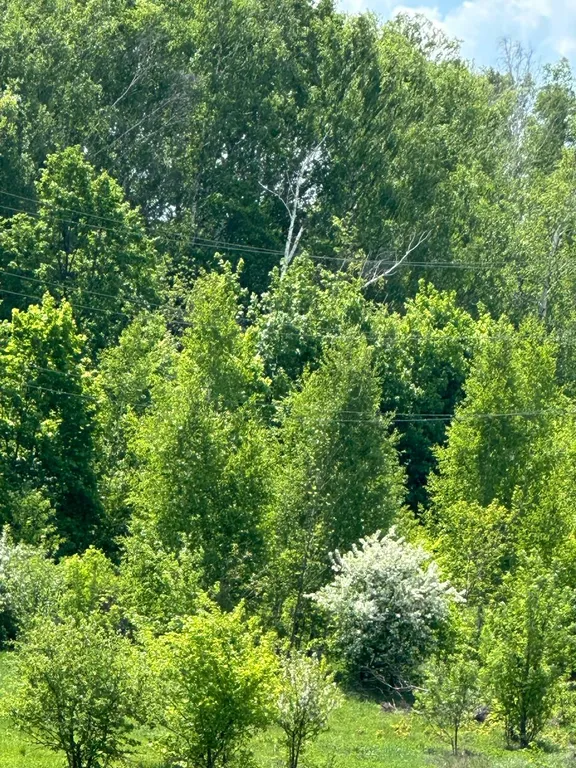 Уютная квартира в городе Белебей