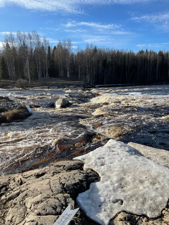 Сосновое шале на берегу Сямозера