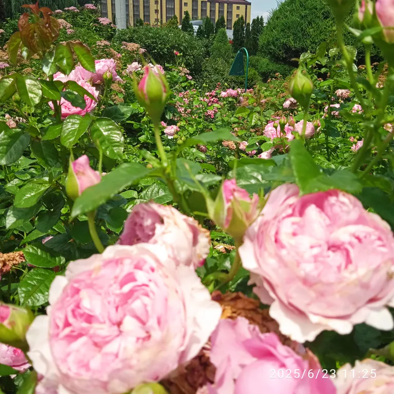 Отличная квартира для экономных туристов