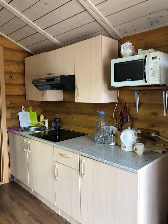 Дом Черемшанка