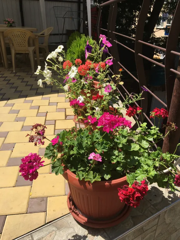 Частный гостевой дом