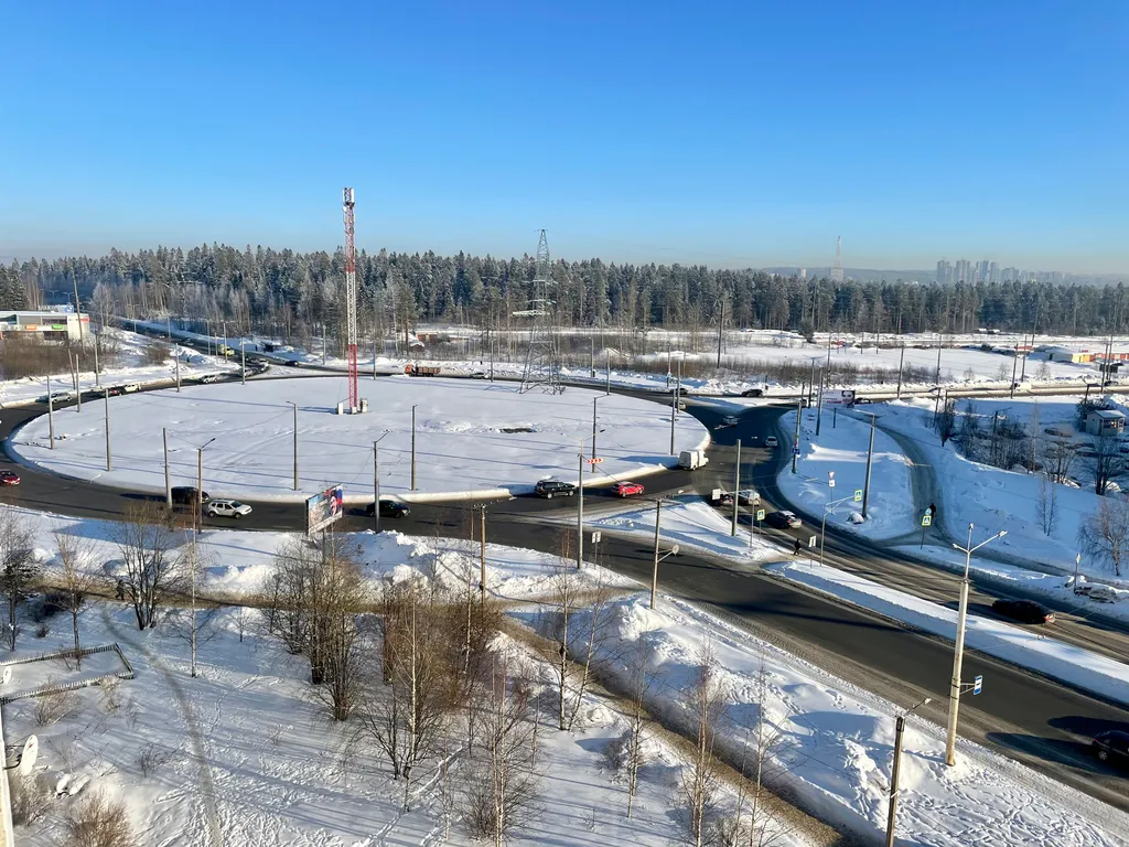 Солнечная квартира на Древлянке