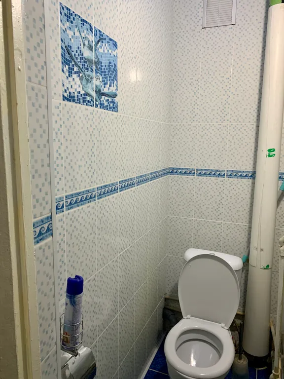 Квартира в центре