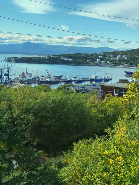 Квартира с видом на Авачинскую бухту