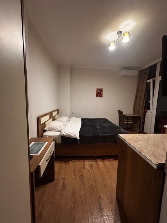 Уютная студия с видом на горы