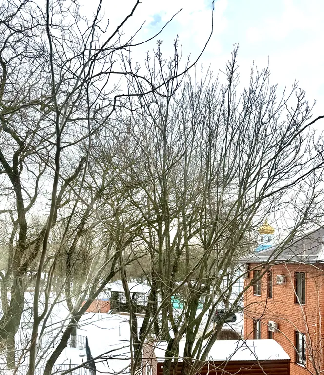 Уютная квартира в самом сердце Ейска с видом на пруд, в 15 минутах от Каменки